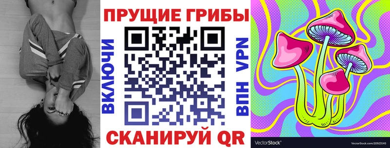 Купить где  Белинский  Псилоцибиновые грибы прущие грибы 